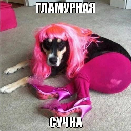 Приз сезона